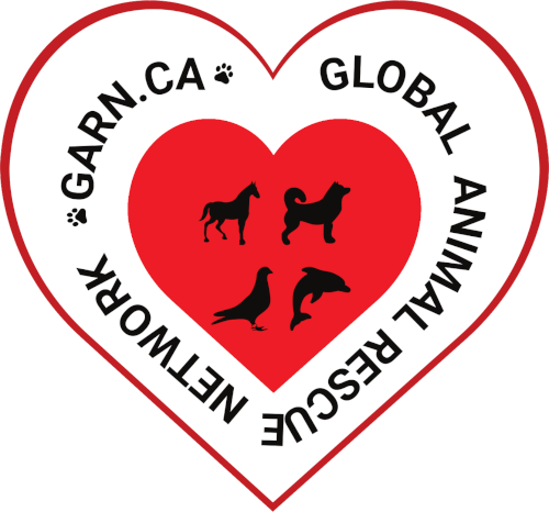 Global Animal Rescue Network