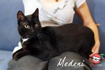 Photo of Medeni